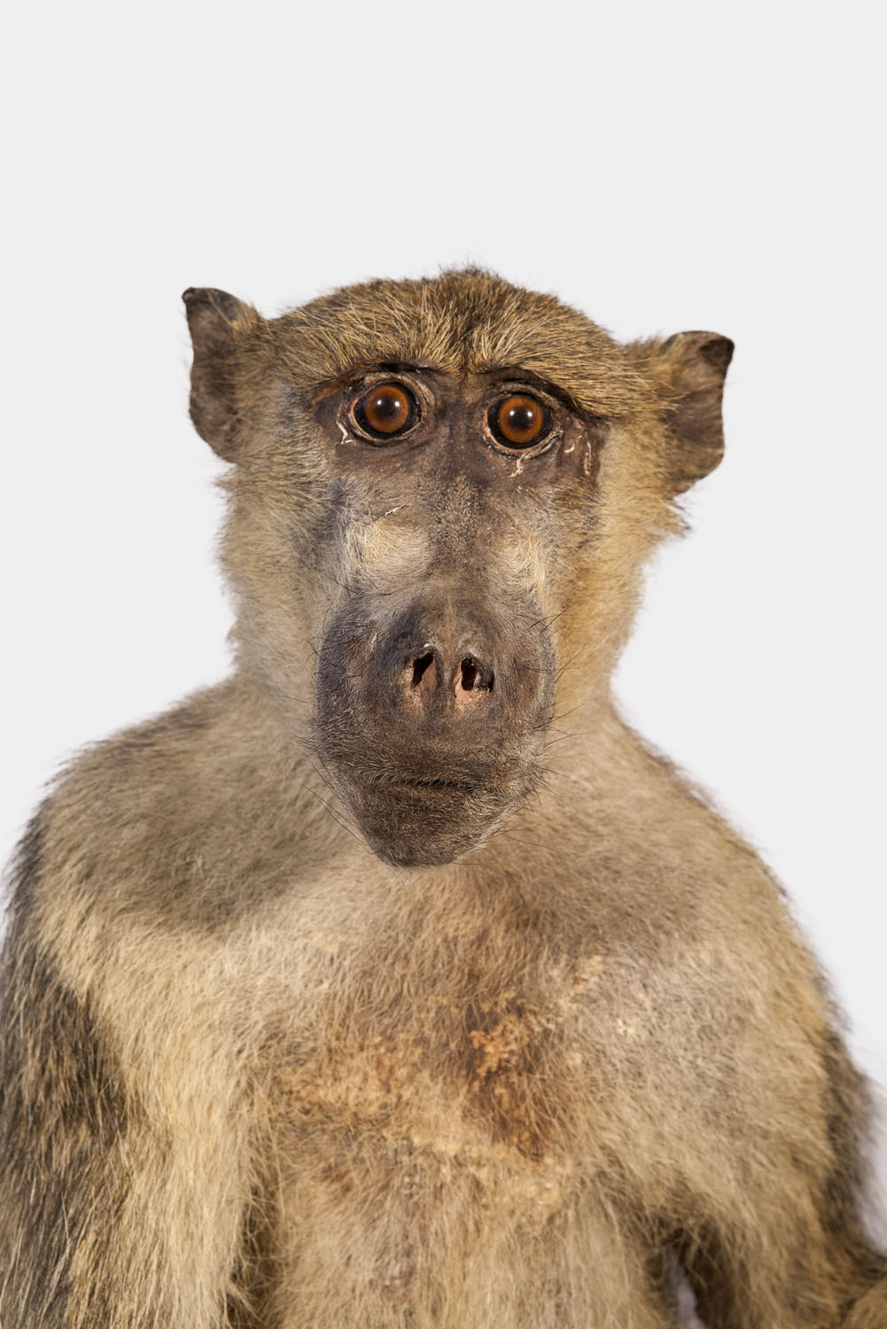 Diane Fox at Los Angeles Center for Digital Art